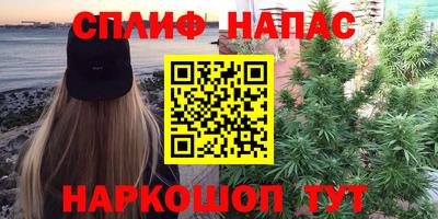 гидра Малгобек