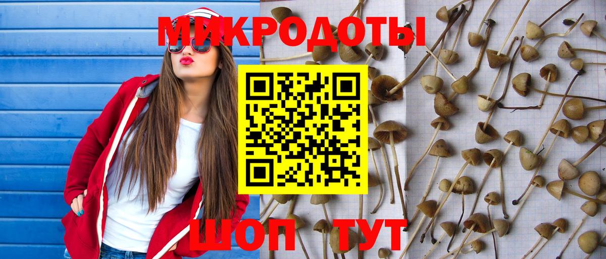 Псилоцибиновые грибы мицелий  где можно купить наркотик  Вход с VPN  Сочи  Галлюциногенные грибы MAGIC MUSHROOMS 